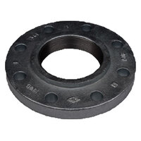 1 BLACK DUCTILE IRON CLASS 150 THREADED COMPANION FLANGE