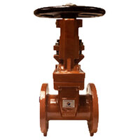 10 DUCTILE IRON OS&Y RESILIENT SEATED GATE VALVE FLANGE ENDS 300 PSI