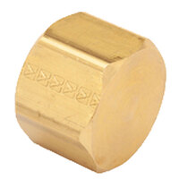 1/8 LEAD-FREE BRASS PIPE CAP USA