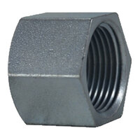 1/8 ZINC MERCHANT STEEL HEX CAP